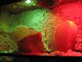 Jaskinia Solna 004